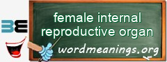 WordMeaning blackboard for female internal reproductive organ